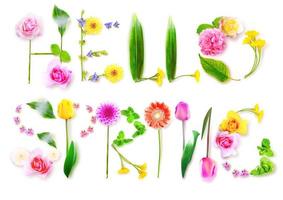 fiori ed erbe aromatiche con la parola primavera. composizione floreale creativa. foto