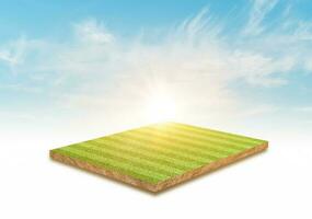 rendering 3D. campo da calcio in erba verde e sfondo nuvola cielo. foto