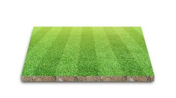 rendering 3D. campo da calcio a strisce, campo da calcio in erba verde, isolato su sfondo bianco. foto
