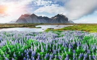 viste pittoresche del fiume e delle montagne in Islanda foto