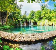 una foto di pesci che nuotano in un lago, scattata nel parco nazionale di Plitvice croazia