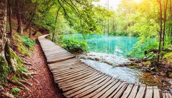 una foto di pesci che nuotano in un lago, scattata nel parco nazionale di Plitvice croazia