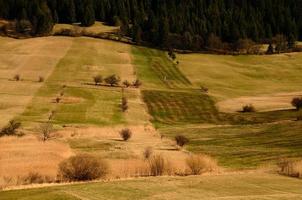 paesaggio erboso diverso foto