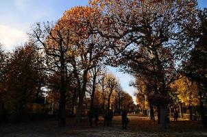 avenue nel castello di vienna e in autunno foto