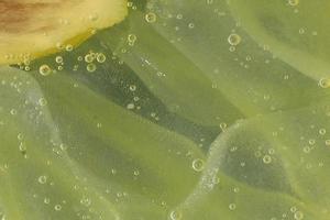 vista di dettaglio macro limone foto