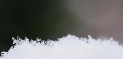 cristallo di neve con panorama verde foto