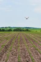drone quad elicottero con fotocamera digitale ad alta risoluzione su campo di mais verde foto