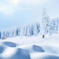 cumulo di neve paesaggio montagne maestose in inverno. magico albero innevato d'inverno. in attesa della vacanza. drammatica scena invernale. carpatico. Ucraina foto