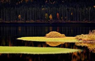 riflessi d'acqua in autunno foto