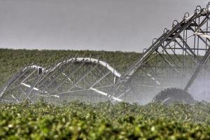 spinkler d'acqua al lavoro durante la giornata nuvolosa foto