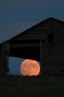 luna piena vista attraverso la finestra del vecchio edificio foto