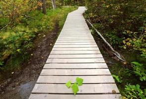 dalla passerella al backguard cade in british columbia foto