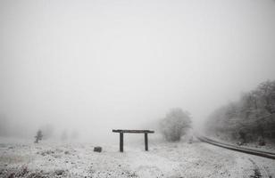 nebbia di ghiaccio nel parco provinciale delle colline di cipressi del saskatchewan foto
