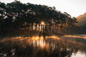 bella natura lago e foresta al mattino foto