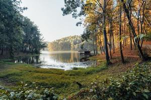 bella natura lago e foresta al mattino foto