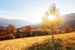 autunno in montagna, paesaggio fantastico foto