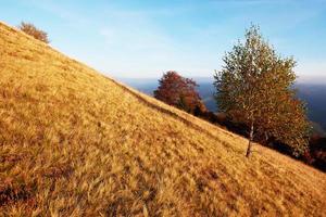 autunno in montagna, paesaggio fantastico foto