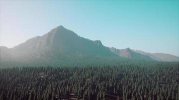 montagne maestose con foresta in primo piano in canada foto