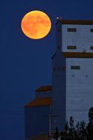 luna piena dietro l'elevatore del grano di tuxford foto