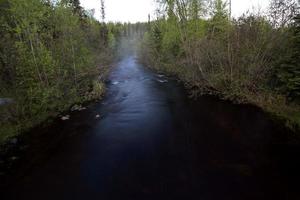 fiume boscoso al mattino presto nel saskatchewan foto