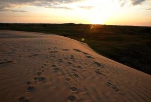 duna di sabbia alle grandi colline di sabbia nel pittoresco saskatchewan foto