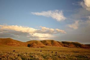 grande valle fangosa nel sud del saskatchewan foto