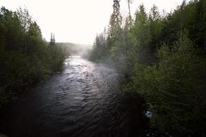 fiume boscoso al mattino presto nel saskatchewan foto