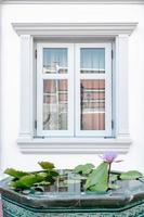 vista frontale degli stili vintage delle finestre con decorazioni esterne, doppie finestre in vetro trasparente e design della facciata architettonica. finestra della casa residenziale con la riflessione foto
