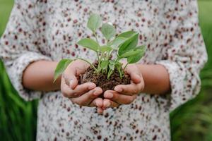 conservazione della natura e dell'ambiente per il concetto di risorsa sostenibile, mani femminili che tengono germogli di albero per la coltivazione nel campo agricolo. responsabilità ambientale per stili di vita sostenibili. foto