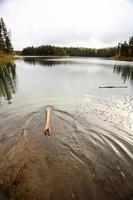 piccolo tronco nel lago di giada nel nord del saskatchewan foto