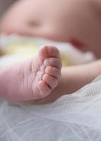 piede del bambino fotografato allo studio macmaster nella mascella dell'alce foto