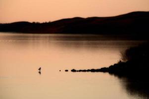 lago della libbra del bufalo al tramonto nel saskatchewan scenico foto