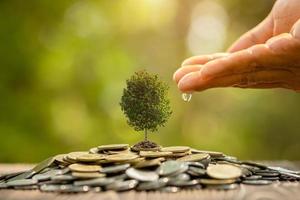 irrigazione manuale a un piccolo albero in cima alla pila di monete. successo aziendale, concetto di crescita finanziaria o di denaro foto