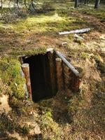 una tana nel bosco. la panchina foto