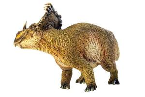 sinoceratops, dinosauro su sfondo bianco. foto