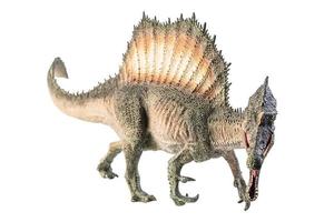 spinosauro, dinosauro su sfondo bianco. foto