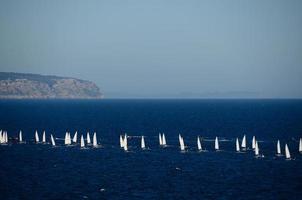 molte barche a vela in mare foto