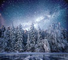 magico albero innevato d'inverno. paesaggio invernale. il lago d'inverno è ghiacciato sul fronte foto