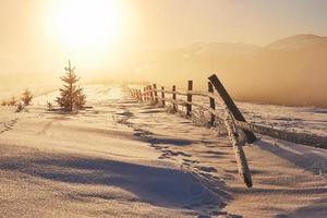 il misterioso paesaggio invernale è costituito da maestose montagne in inverno. tramonto fantastico. cartolina di cortesia con foto. Carpazi. Ucraina foto