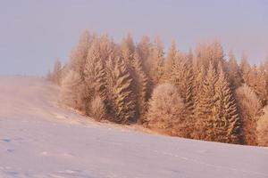 ampio paesaggio invernale e montagne in inverno. biglietto d'auguri. Carpazi. Ucraina foto