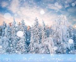 misterioso paesaggio invernale montagne maestose in inverno. magico albero innevato d'inverno. biglietto di auguri con foto. effetto luce bokeh, filtro morbido. foto