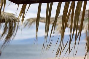 spiaggia esotica sulla spiaggia con ombrellone. un solitario ombrellone vuoto fatto di canne. bellissimi rami secchi di palme sul tetto sullo sfondo della spiaggia. foto