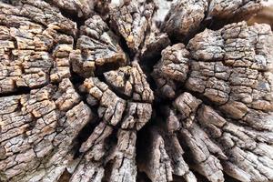 vecchio fondo di struttura di legno dell'annata marrone scuro foto