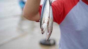 primo piano pescatore che ottiene pesce dalla sua pesca in spiaggia foto