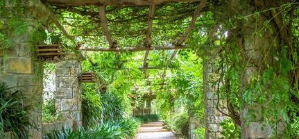giardino con struttura a pergola durante la stagione estiva. architettura e design ispirati alla natura. foto