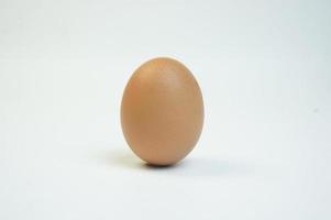 foto ravvicinata di uova di gallina