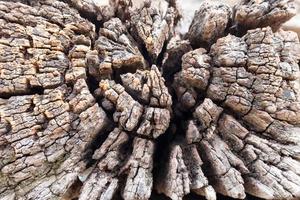 vecchio fondo di struttura di legno dell'annata marrone scuro foto