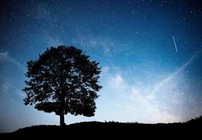 paesaggio con cielo stellato notturno e silhouette di albero sulla collina. via lattea con albero solitario, stelle cadenti.