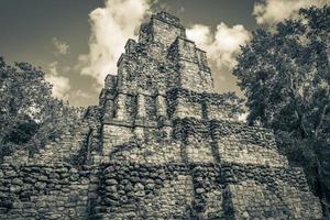 antico sito maya con rovine di templi piramidi manufatti muyil messico. foto