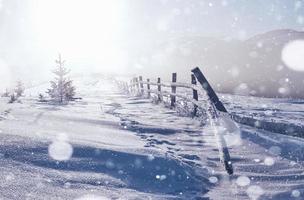 paesaggio invernale alberi e recinzione in brina, sfondo con alcuni riflessi morbidi e fiocchi di neve. Buon Anno